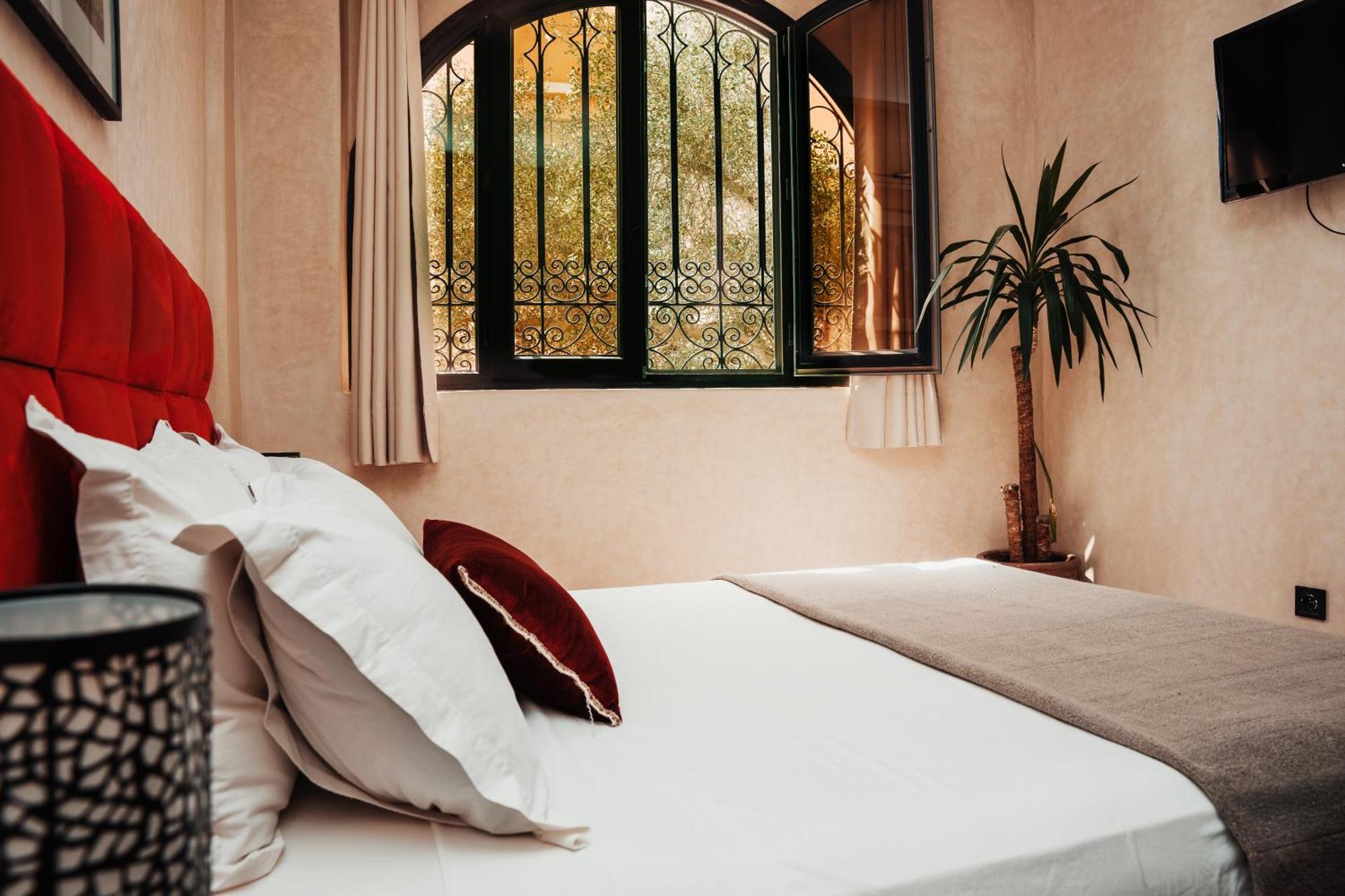 Auberge Riad Dlim Tamraght Zewnętrze zdjęcie